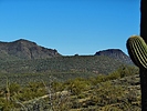 photo thumbnail #13