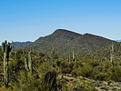 photo thumbnail #14