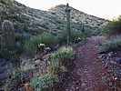 photo thumbnail #2