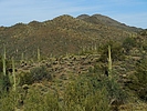 photo thumbnail #8