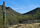 photo thumbnail #12