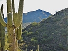 photo thumbnail #14