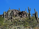 photo thumbnail #15
