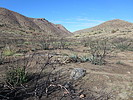 photo thumbnail #4