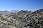 photo thumbnail #9