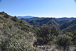 photo thumbnail #10