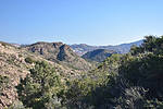 photo thumbnail #12