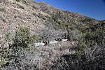 photo thumbnail #13