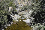 photo thumbnail #15
