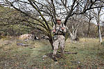 photo thumbnail #4