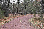 photo thumbnail #6