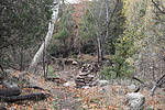 photo thumbnail #8