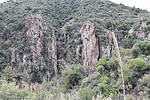photo thumbnail #10