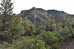 photo thumbnail #14