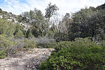photo thumbnail #15