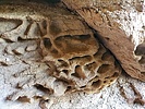 photo thumbnail #13