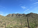photo thumbnail #2