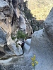 photo thumbnail #11