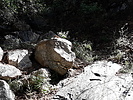 photo thumbnail #5