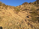 photo thumbnail #1