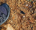 photo thumbnail #10