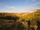 photo thumbnail #8