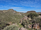 photo thumbnail #7