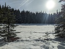 photo thumbnail #1