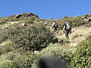 photo thumbnail #7