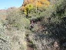 photo thumbnail #6