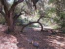 photo thumbnail #15