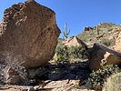 photo thumbnail #3