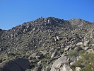 photo thumbnail #9