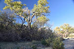 photo thumbnail #1