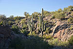 photo thumbnail #3