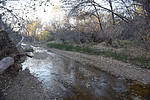 photo thumbnail #8
