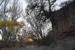 photo thumbnail #13