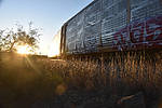 photo thumbnail #15