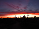 photo thumbnail #1