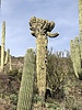 photo thumbnail #7