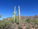 photo thumbnail #3