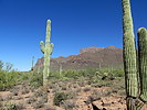 photo thumbnail #4