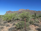 photo thumbnail #6