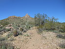 photo thumbnail #3