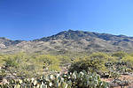 photo thumbnail #1