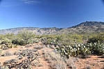 photo thumbnail #2