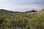 photo thumbnail #6
