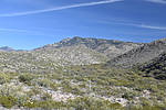 photo thumbnail #9