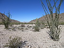photo thumbnail #4