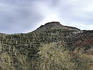 recent photo